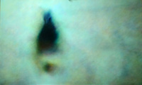 Kamila_B_Richter_IKnowTheyAre_Prague_th.jpg